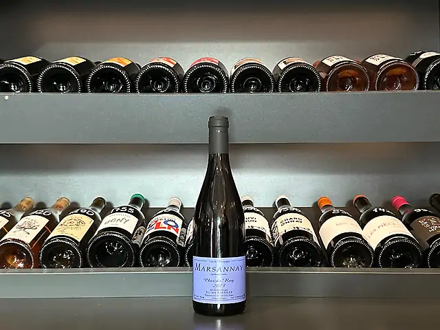 Sylvain Pataille - Marsannay, Clos du Roy, 2023