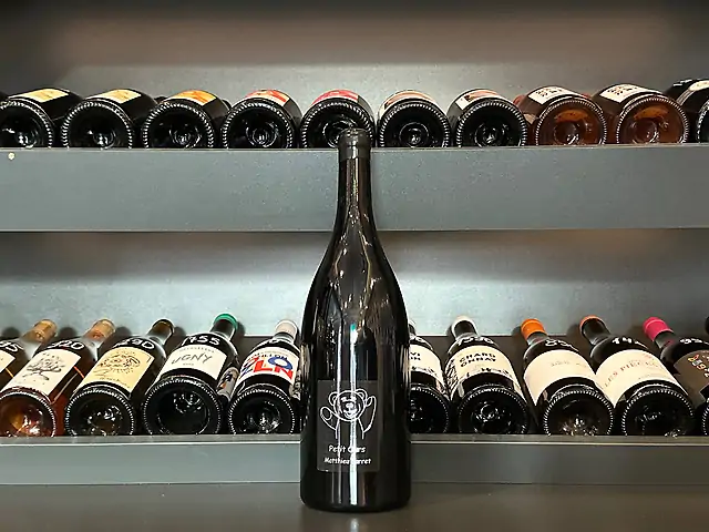 Barret Matthieu - Petit Ours Magnum, 2024