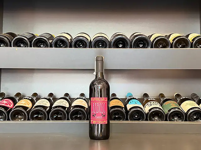 Carolina Gatti - Raboso, IGT Marca Trevigiana, 2018