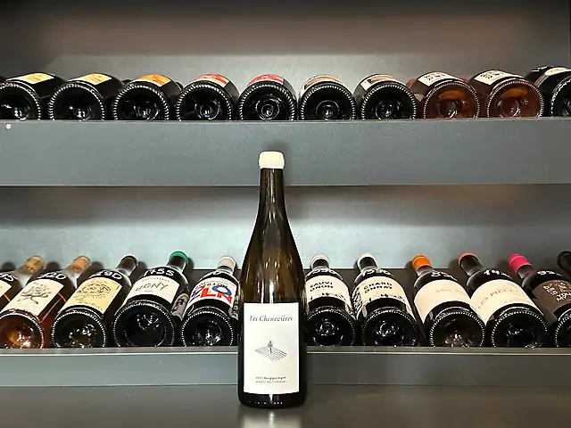 Gabriel Keltchewsky - Aligote, Les Chenevieres, 2023