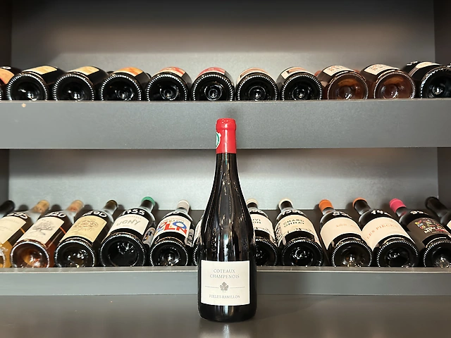 Follet-Ramillon - Coteaux Champenois Rouge, 2022