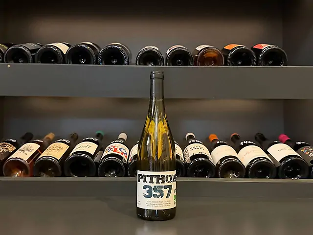 Olivier Pithon - Pithon 357, 2023