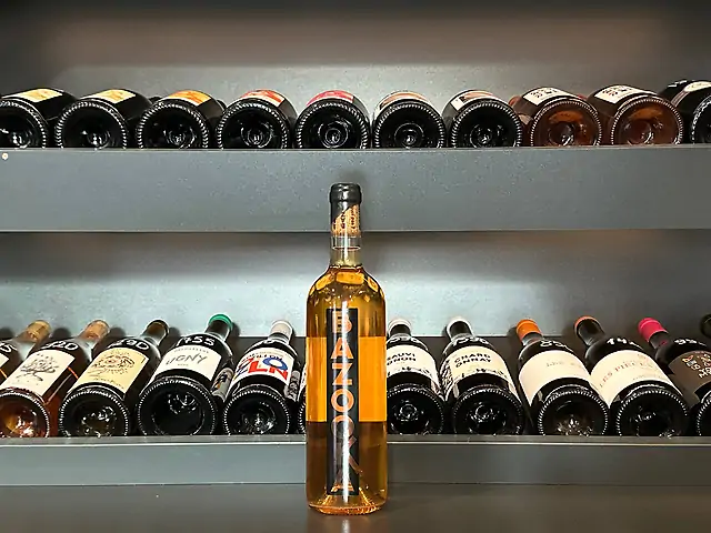 Marius Bielle - Bazooka, 2022