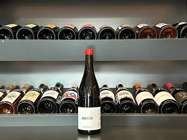 Gabriel Keltchewsky - Pineau d'Aunis, 2024