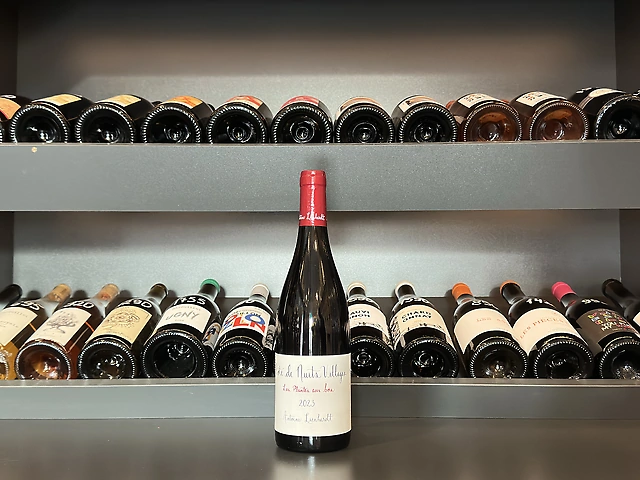 Antoine Lienhardt - Les Plantes aux Bois 2024