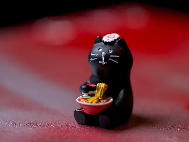 Кіт Соппоро