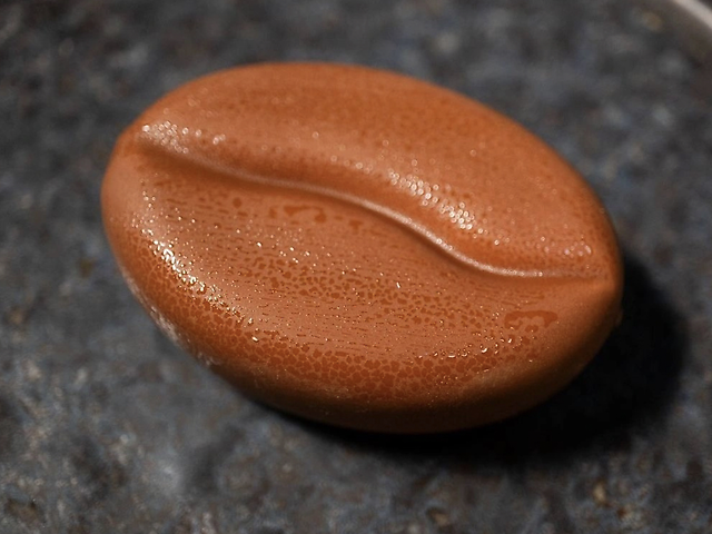 Coffee Bean