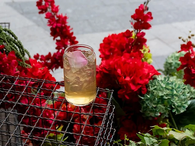 Coconut oolong iced tea