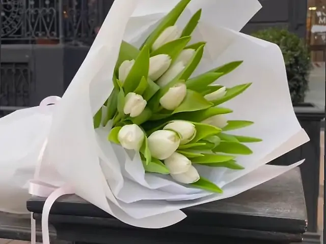 25 тюльпанів