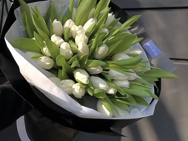 35 тюльпанів