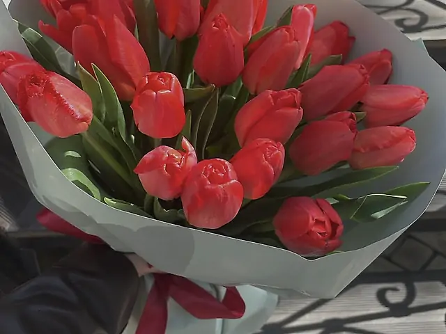 17 тюльпанів