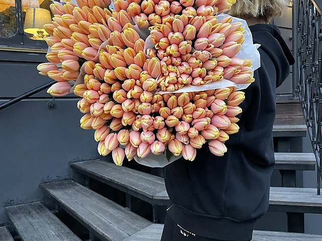 51 тюльпан манго