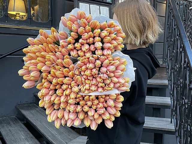 101 тюльпан манго