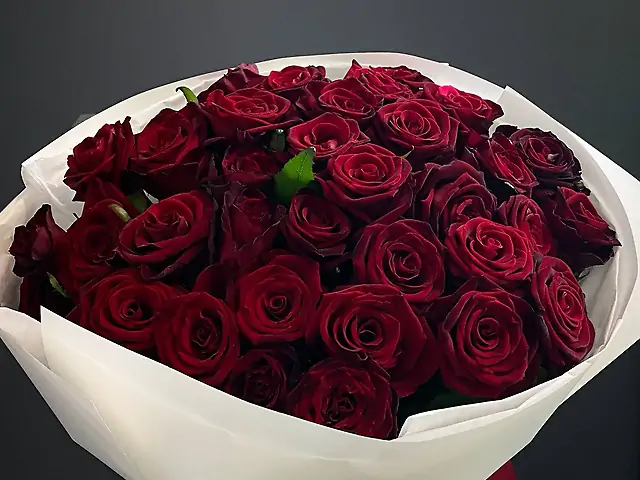 Червоні троянди