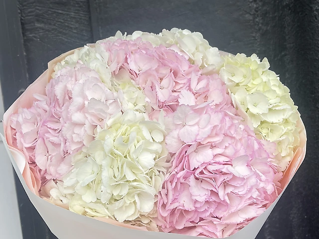 Букет з гортензій