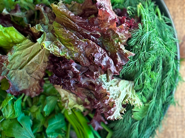 Свіжа зелень