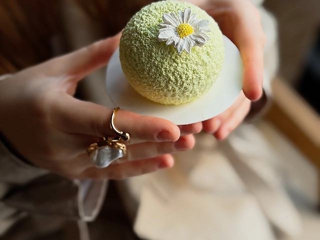 Мусова сфера з ромашкою