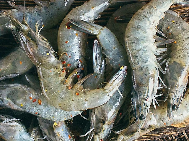 КРЕВЕТКА ТИГРОВА СИРА С ГОЛОВОЮ, РОЗМІР 20/30, 100Г