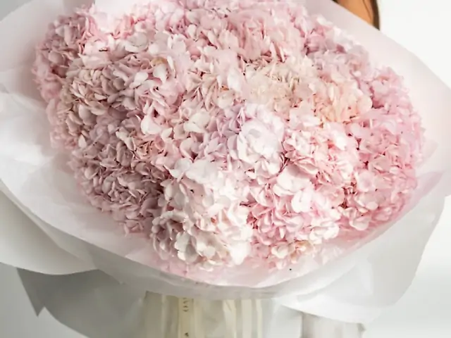 Hydrangea Embrace Pink - Монобукет на основі рожевої гортензії