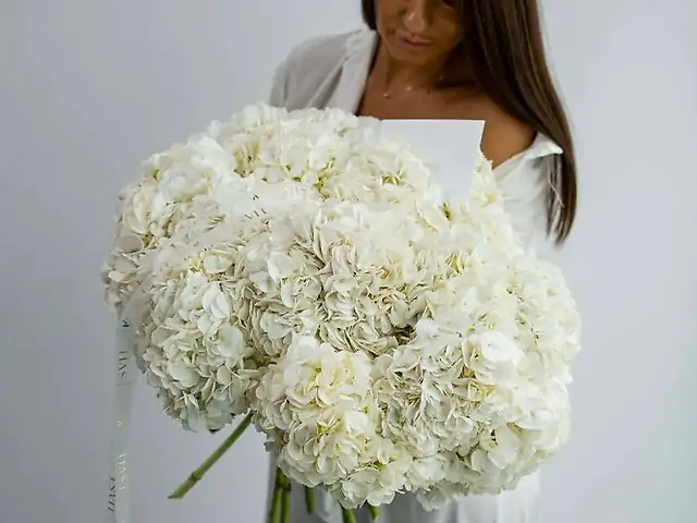 Hydrangea Embrace White - Монобукет на основі білої гортензії