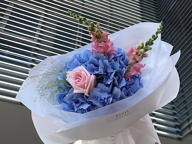 Blue enjoy