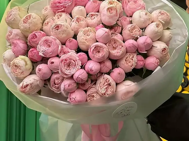Кущова півоновидна троянда