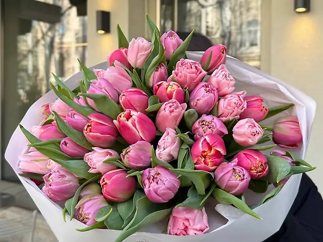 Мікс піоновидних тюльпанів