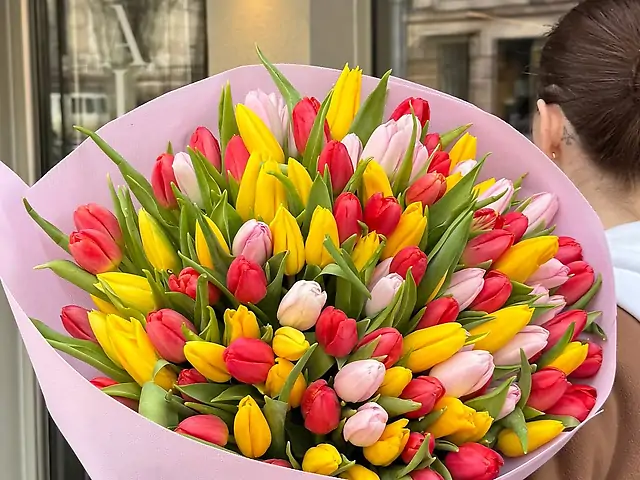 101 кольоровий тюльпан