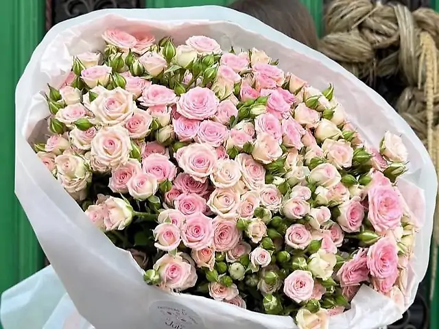 Кущова тронда