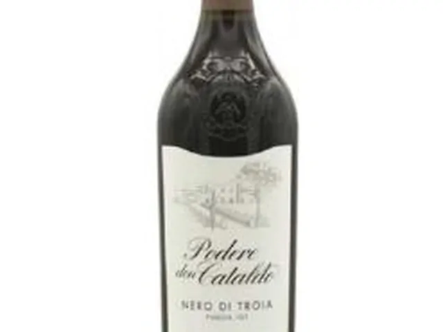 Вино Manieri Nero di Troia Puglia IGT 21 сухе черв. 14% 0.75л