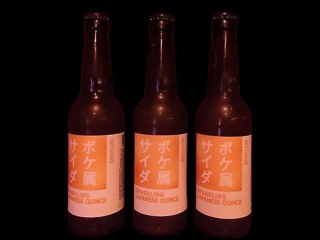 Японський квас Sparkling Japanese quince by Berryland