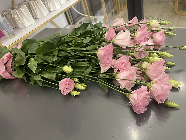 5 гілочок еустоми