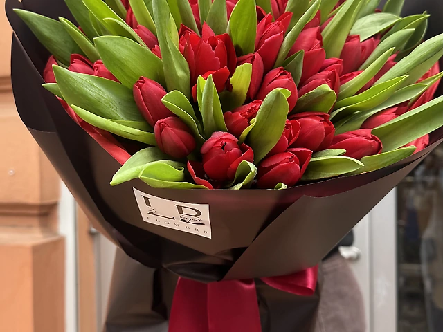 51 червоний  тюльпан