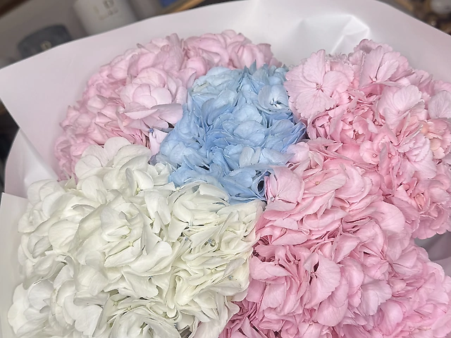 Букет 7 гортензій