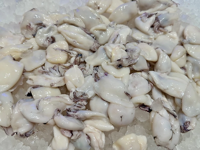 Бебі-кальмар з Індії