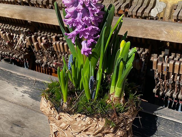 Композиція &numero;11