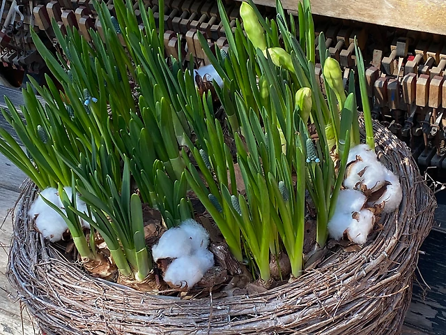 Композиція &numero;4