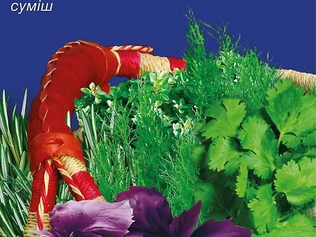 Насіння Кухонні трави