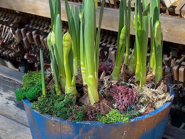 Композиція &numero;3