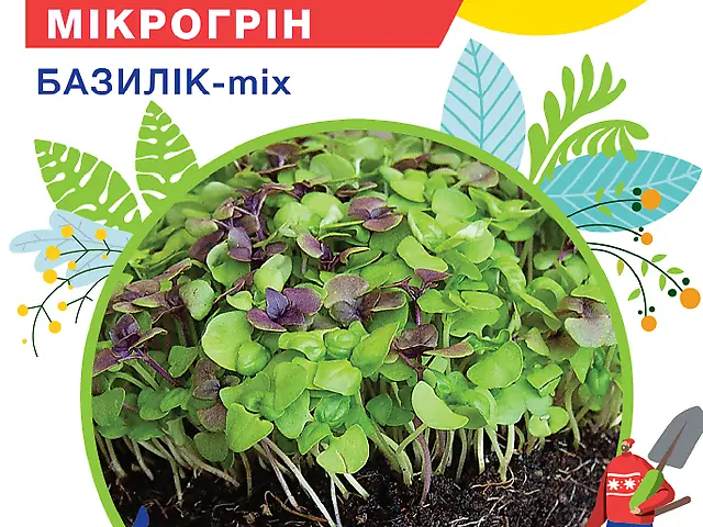 Насіння Мікрогрін Базилік мікс