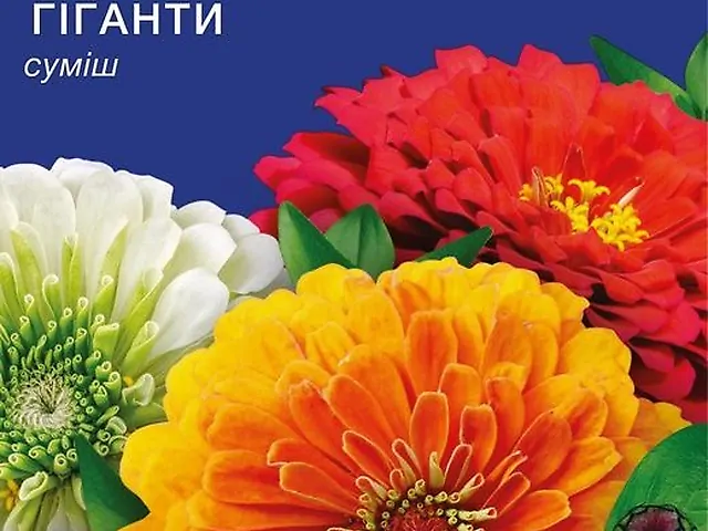 Насіння Цинія суміш