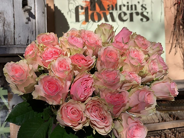 Троянда Frutetto