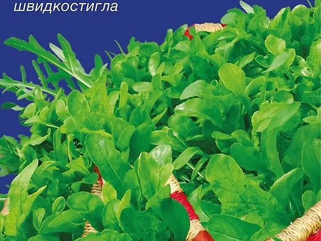 Насіння Рукола Делікатесна