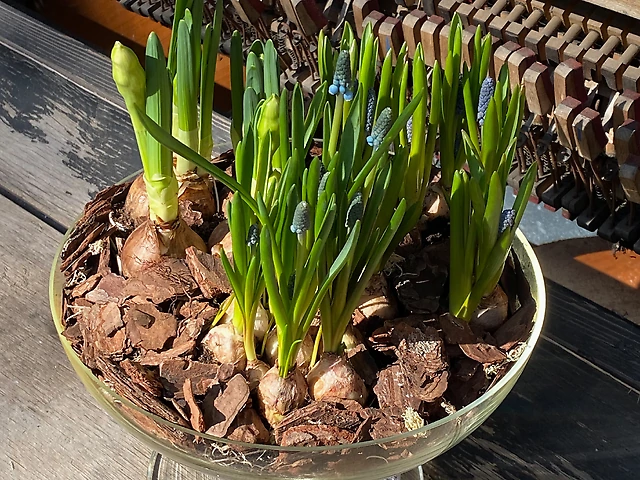 Композиція &numero;5