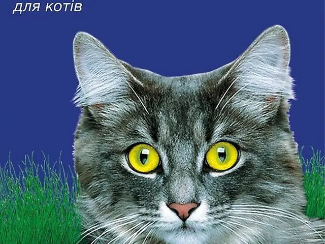 Насіння Зелень для кішки