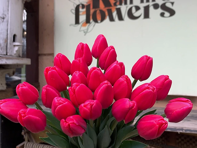 Тюльпан &numero;12