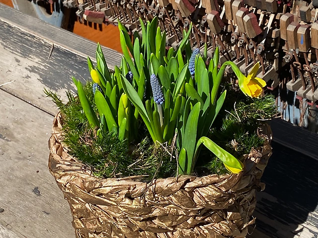 Композиція &numero;15