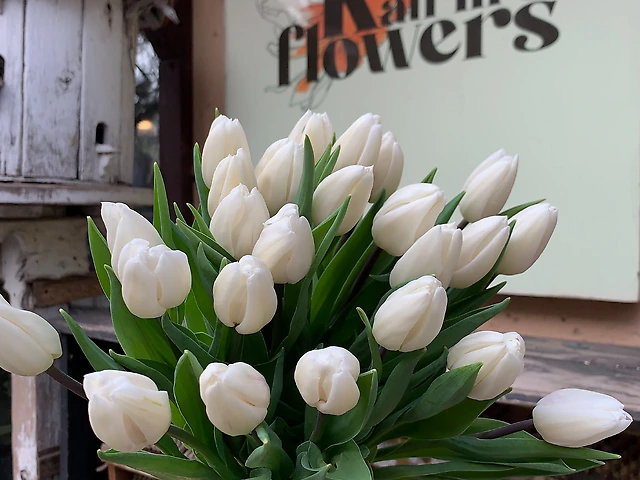 Тюльпан &numero;11