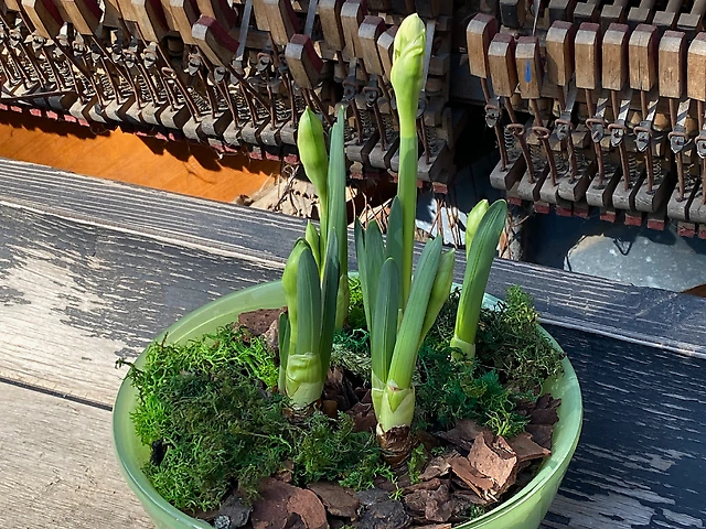 Композиція &numero;1