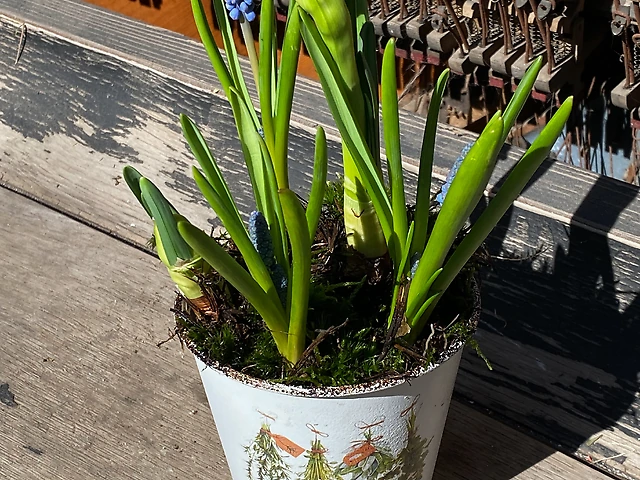 Композиція &numero;10